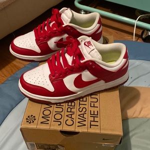 Nike next nature gym red dunks